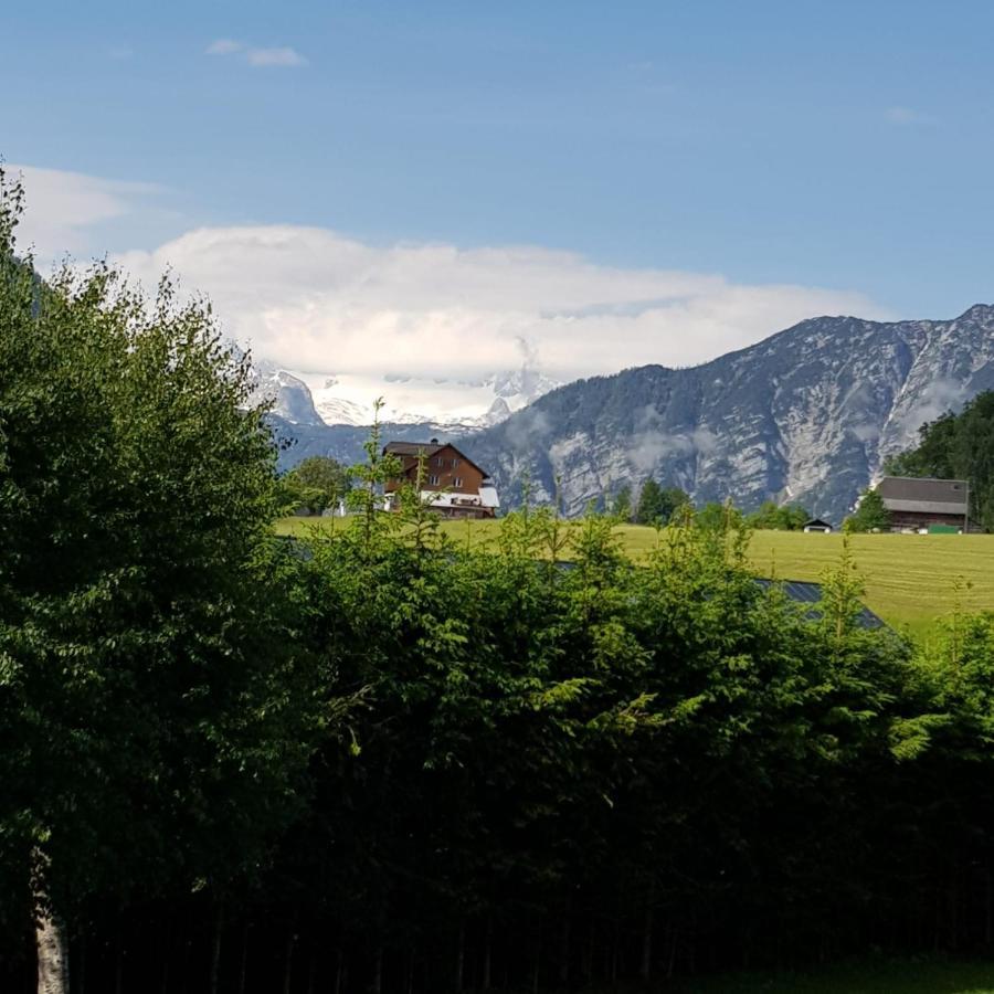 Dachsteinblick